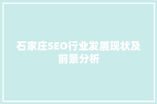石家庄SEO行业发展现状及前景分析