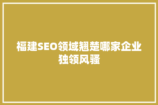 福建SEO领域翘楚哪家企业独领风骚