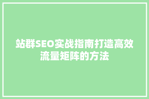 站群SEO实战指南打造高效流量矩阵的方法