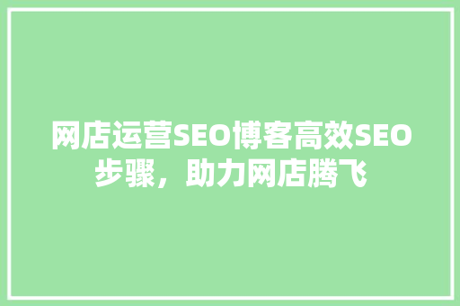 网店运营SEO博客高效SEO步骤，助力网店腾飞  第1张