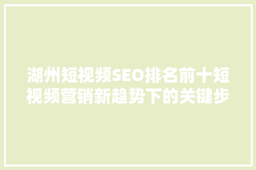 湖州短视频SEO排名前十短视频营销新趋势下的关键步骤  第1张