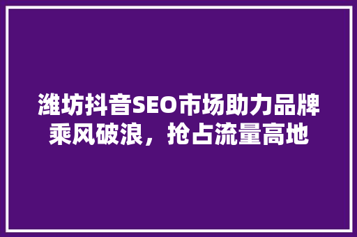 潍坊抖音SEO市场助力品牌乘风破浪，抢占流量高地