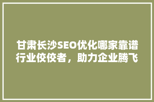 甘肃长沙SEO优化哪家靠谱行业佼佼者，助力企业腾飞