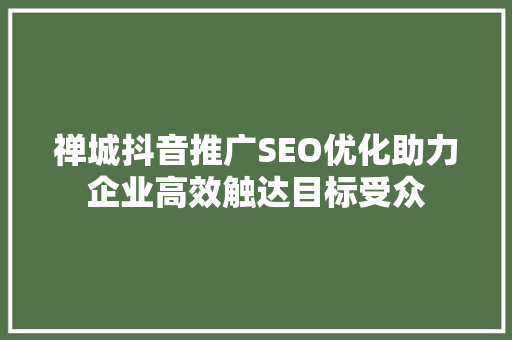 禅城抖音推广SEO优化助力企业高效触达目标受众