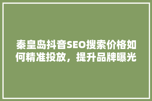 秦皇岛抖音SEO搜索价格如何精准投放，提升品牌曝光度