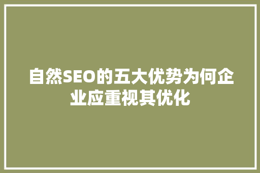 自然SEO的五大优势为何企业应重视其优化