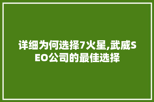 详细为何选择7火星,武威SEO公司的最佳选择