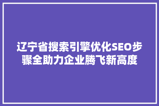 辽宁省搜索引擎优化SEO步骤全助力企业腾飞新高度