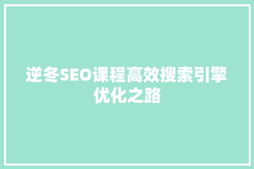 逆冬SEO课程高效搜索引擎优化之路
