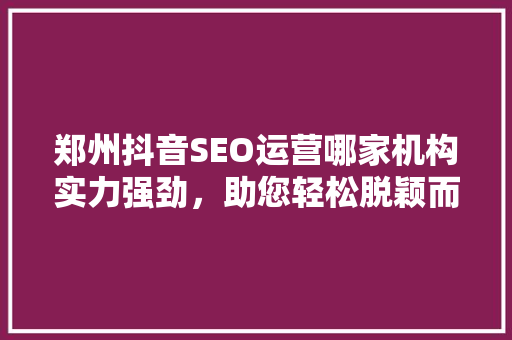 郑州抖音SEO运营哪家机构实力强劲，助您轻松脱颖而出