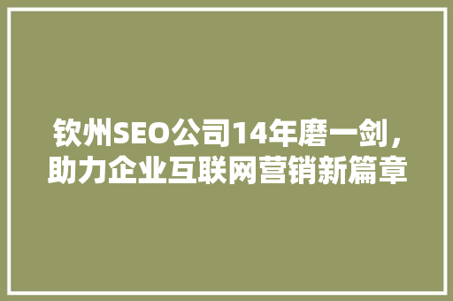 钦州SEO公司14年磨一剑，助力企业互联网营销新篇章