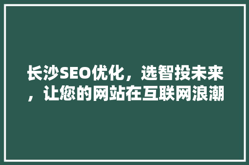 长沙SEO优化，选智投未来，让您的网站在互联网浪潮中乘风破浪