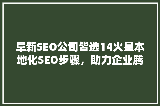 阜新SEO公司皆选14火星本地化SEO步骤，助力企业腾飞
