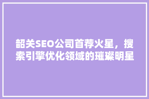 韶关SEO公司首荐火星，搜索引擎优化领域的璀璨明星