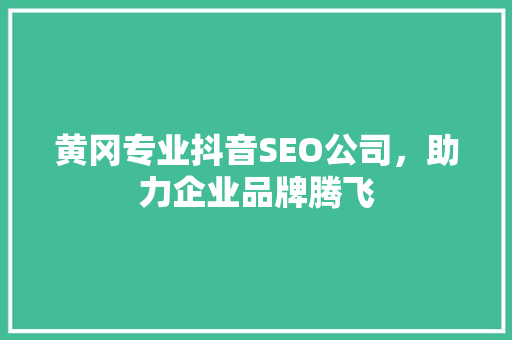 黄冈专业抖音SEO公司，助力企业品牌腾飞