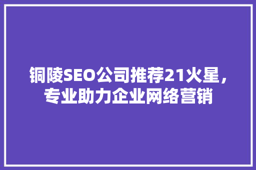 铜陵SEO公司推荐21火星，专业助力企业网络营销