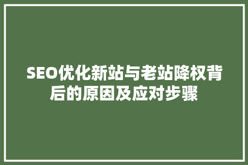 SEO优化新站与老站降权背后的原因及应对步骤