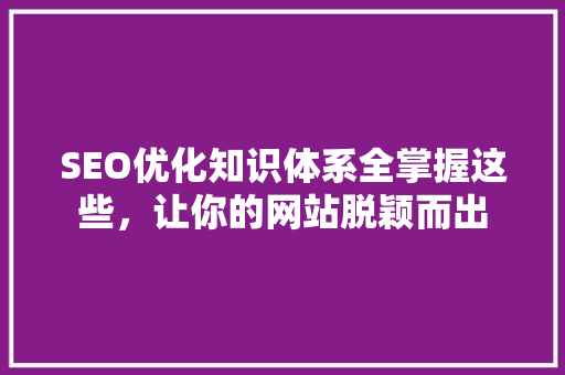 SEO优化知识体系全掌握这些，让你的网站脱颖而出  第1张