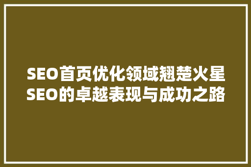 SEO首页优化领域翘楚火星SEO的卓越表现与成功之路