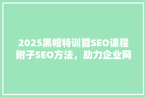 2025黑帽特训营SEO课程附子SEO方法，助力企业网络营销
