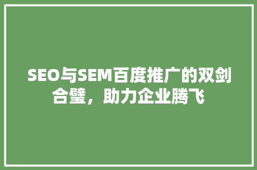 SEO与SEM百度推广的双剑合璧，助力企业腾飞  第1张