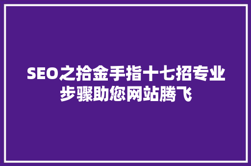 SEO之拾金手指十七招专业步骤助您网站腾飞