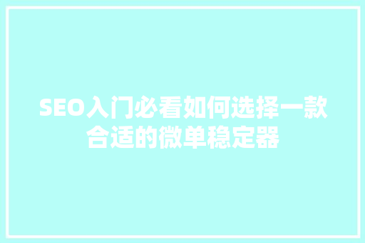 SEO入门必看如何选择一款合适的微单稳定器  第1张