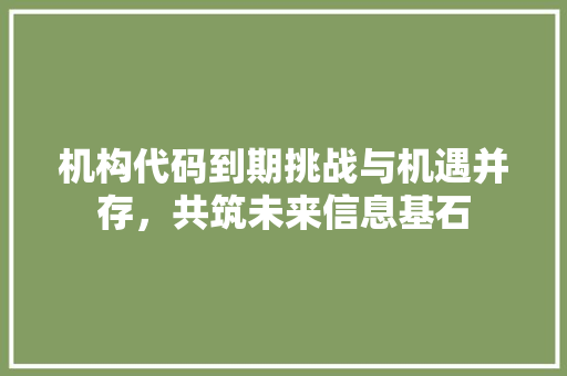 机构代码到期挑战与机遇并存，共筑未来信息基石