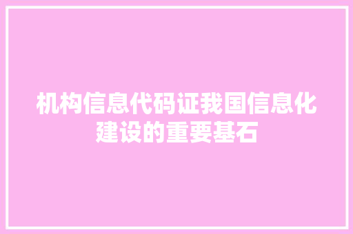 机构信息代码证我国信息化建设的重要基石