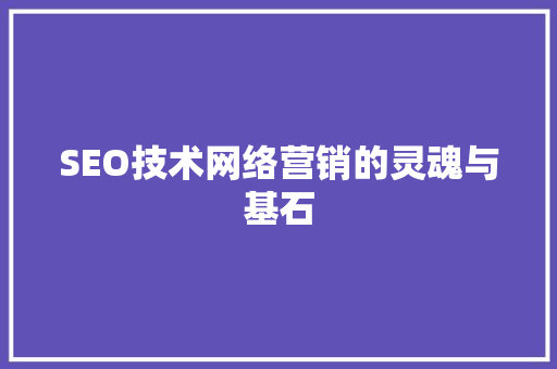 SEO技术网络营销的灵魂与基石