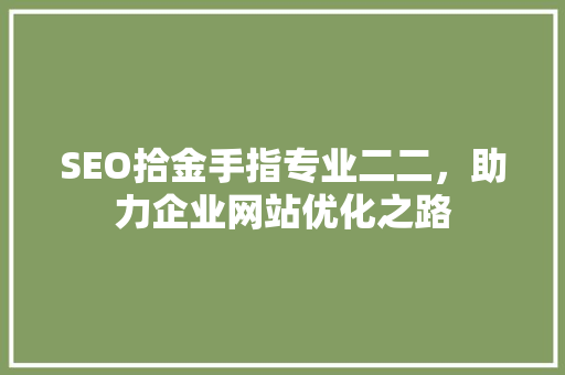 SEO拾金手指专业二二，助力企业网站优化之路