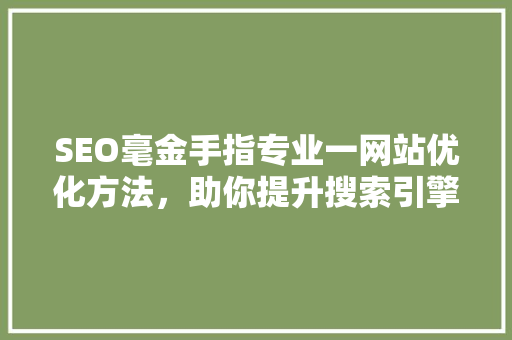 SEO毫金手指专业一网站优化方法，助你提升搜索引擎排名