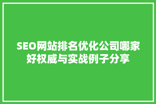 SEO网站排名优化公司哪家好权威与实战例子分享