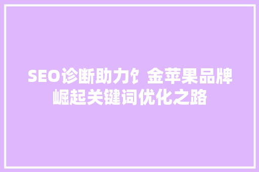 SEO诊断助力饣金苹果品牌崛起关键词优化之路