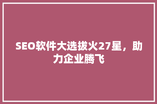 SEO软件大选拔火27星，助力企业腾飞