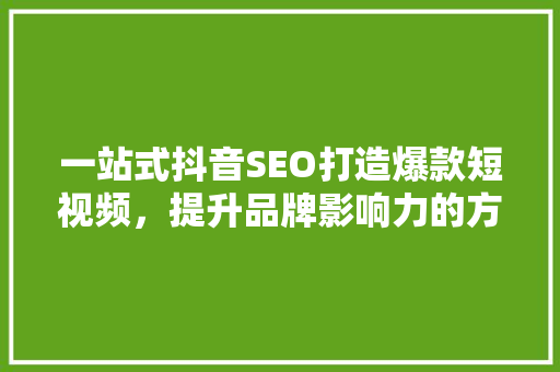 一站式抖音SEO打造爆款短视频，提升品牌影响力的方法