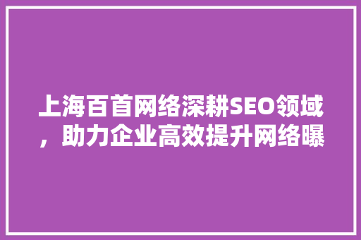 上海百首网络深耕SEO领域，助力企业高效提升网络曝光