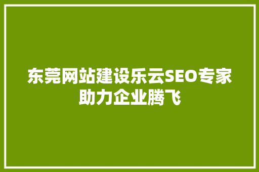 东莞网站建设乐云SEO专家助力企业腾飞