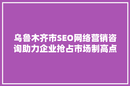 乌鲁木齐市SEO网络营销咨询助力企业抢占市场制高点