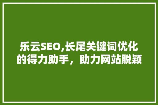乐云SEO,长尾关键词优化的得力助手，助力网站脱颖而出