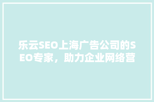 乐云SEO上海广告公司的SEO专家，助力企业网络营销腾飞