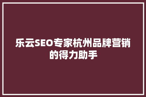乐云SEO专家杭州品牌营销的得力助手