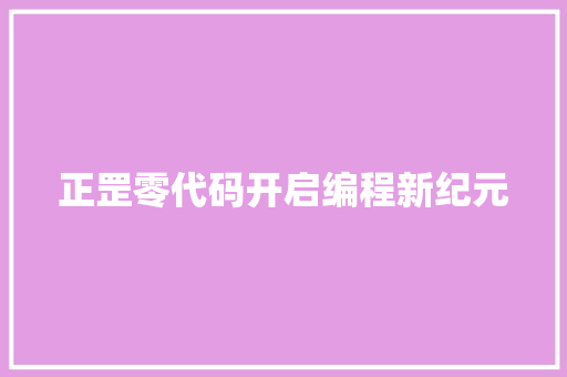 正罡零代码开启编程新纪元
