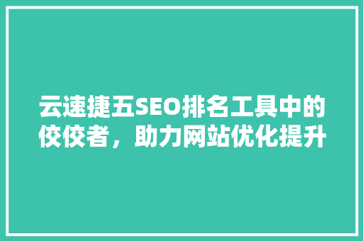 云速捷五SEO排名工具中的佼佼者，助力网站优化提升