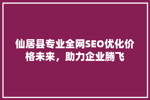 仙居县专业全网SEO优化价格未来，助力企业腾飞