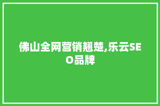 佛山全网营销翘楚,乐云SEO品牌