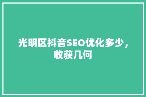 光明区抖音SEO优化多少，收获几何