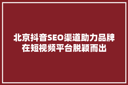 北京抖音SEO渠道助力品牌在短视频平台脱颖而出