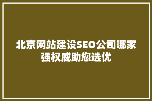 北京网站建设SEO公司哪家强权威助您选优