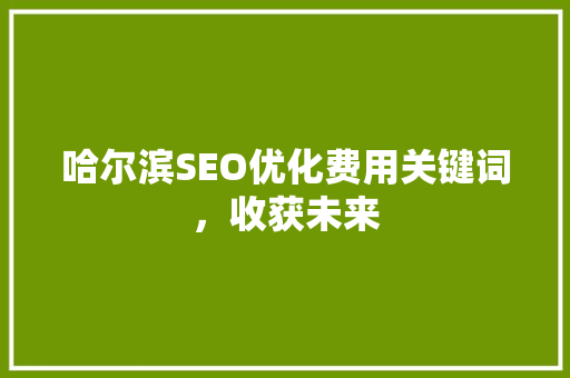 哈尔滨SEO优化费用关键词，收获未来